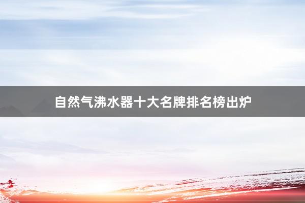 自然气沸水器十大名牌排名榜出炉